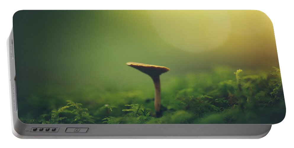 Mushroom Portable Battery Charger featuring the photograph Finding On The Forest Floor by Shane Holsclaw