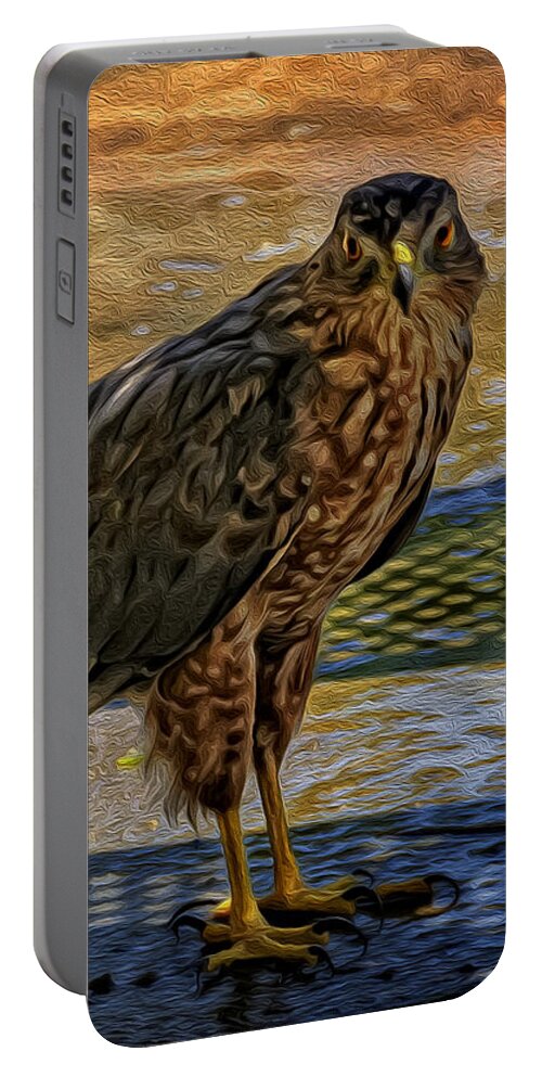 Myhaver Portable Battery Charger featuring the photograph Cooper's Hawk No.32 by Mark Myhaver