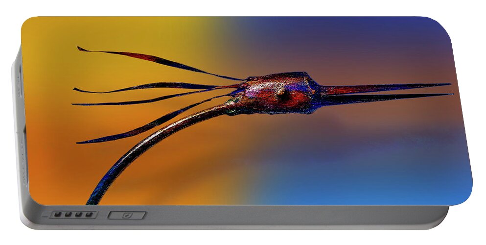 Photography Portable Battery Charger featuring the photograph Fire Bird by Paul Wear