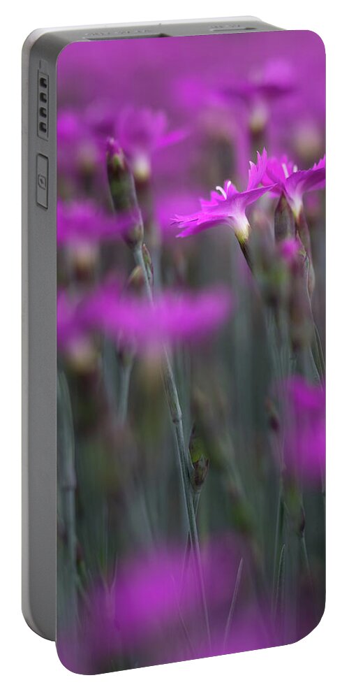 Bloom Portable Battery Charger featuring the photograph Firewitch Duet by Robert FERD Frank