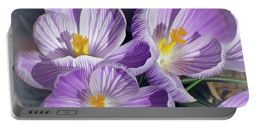 Crocuses Portable Battery Charger featuring the mixed media First Crocuses on the Sunny Side 6 by Lynda Lehmann