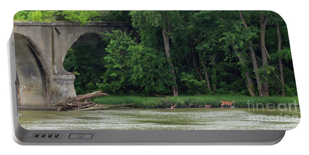Deer Portable Battery Charger featuring the photograph First River Adventure 7282 by Jack Schultz