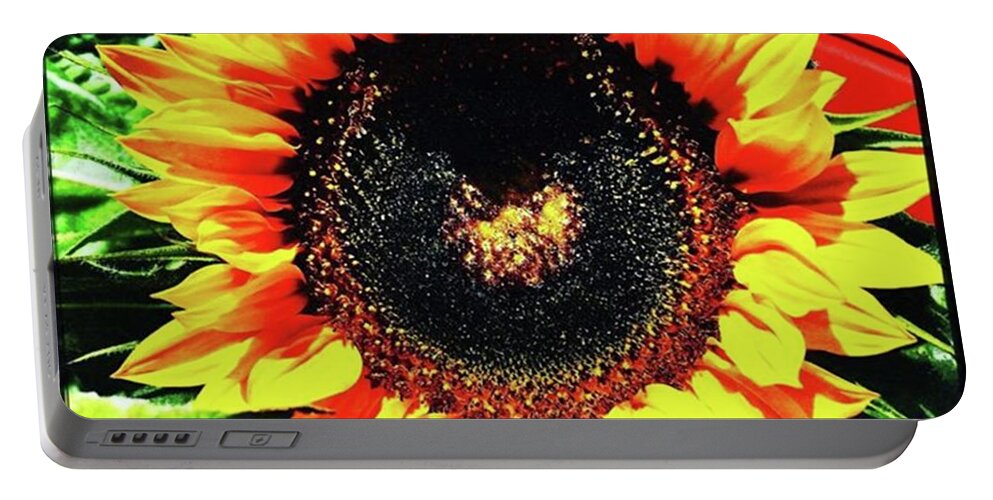 Summer Portable Battery Charger featuring the photograph First Sunflower Of The Summer by Ginger Oppenheimer