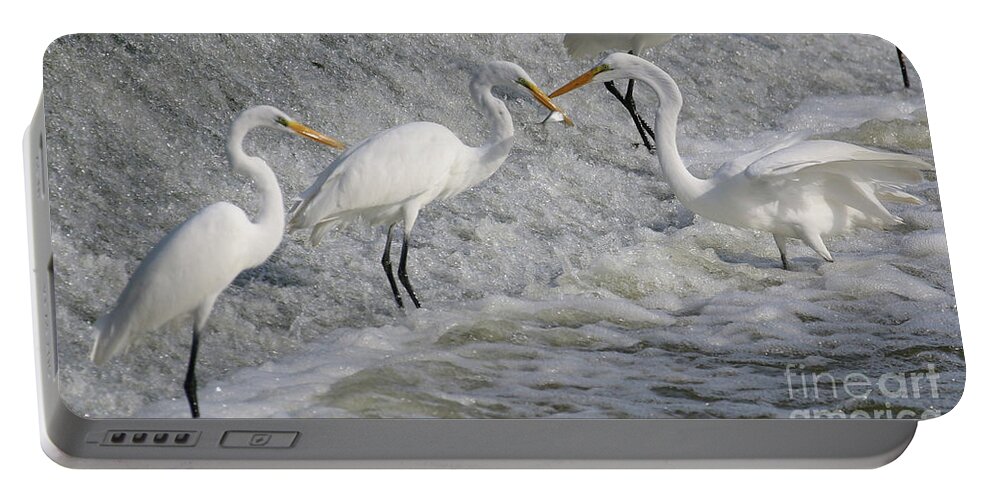 Great White Egret Portable Battery Charger featuring the photograph Fishing at the Falls 2985 by Jack Schultz