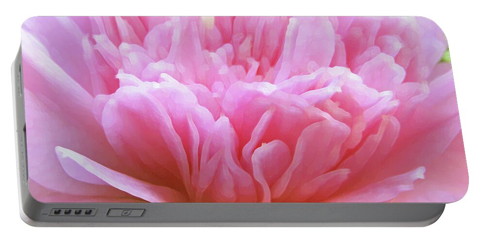 Camellia Portable Battery Charger featuring the photograph Flamboyant Camillia by Kim Tran