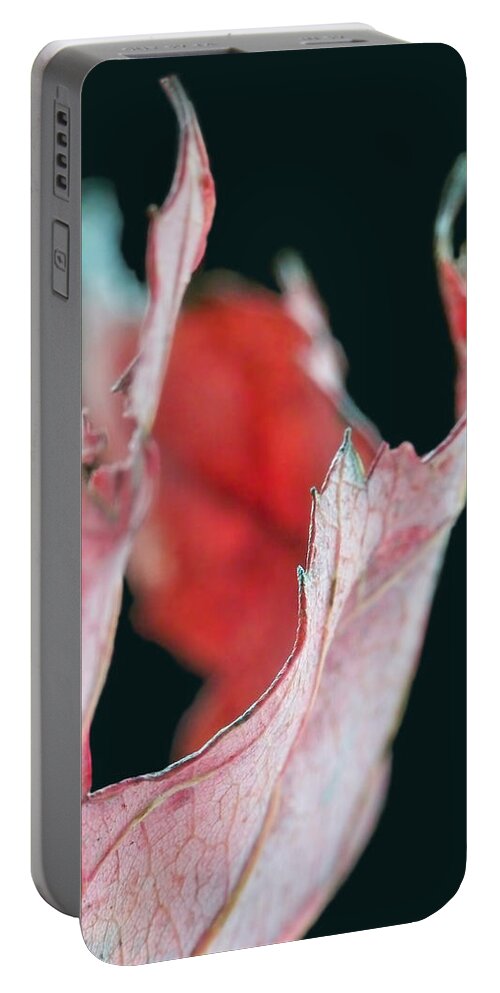 Abstract Portable Battery Charger featuring the photograph Flame by Lauren Radke