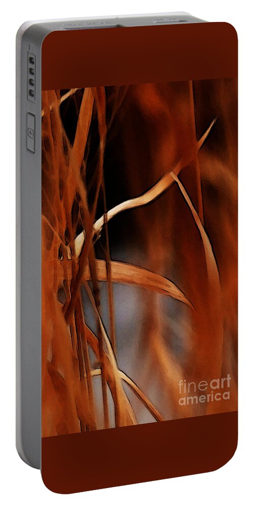 Flame Portable Battery Charger featuring the photograph Flame by Linda Shafer