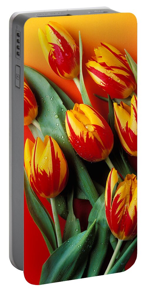 Tulip Portable Battery Charger featuring the photograph Flame tulips by Garry Gay