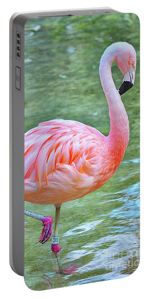 Flamingo Portable Battery Charger featuring the photograph Flamingo 39 by Frances Ann Hattier