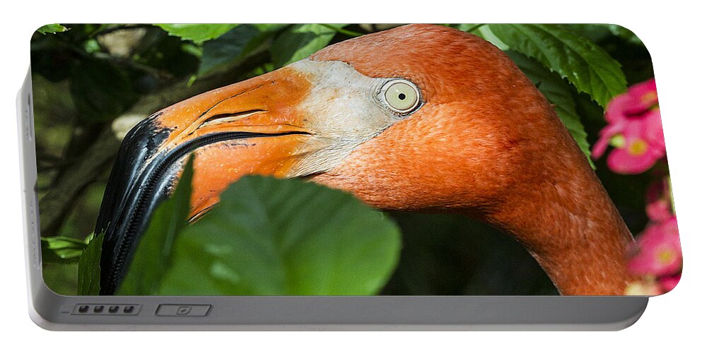 Bird Portable Battery Charger featuring the photograph Flamingo Peeking Through the Bushes by Bob Slitzan