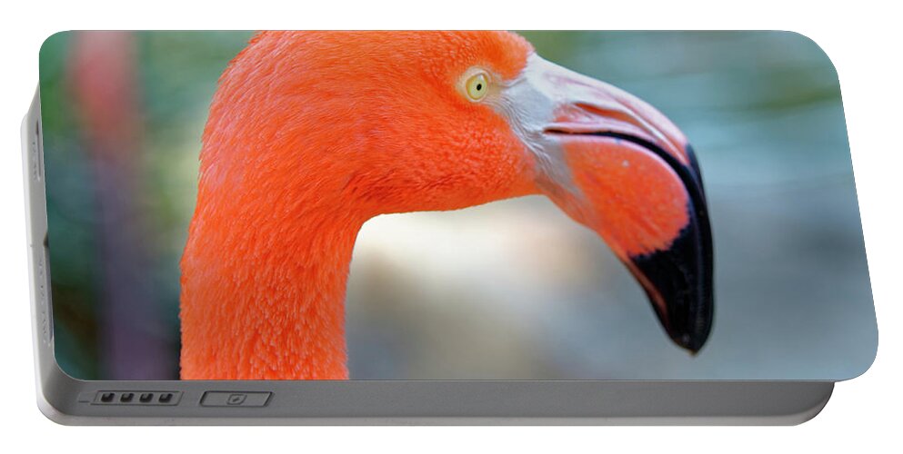Flamingo Portable Battery Charger featuring the photograph Flamingo portrait by Peter Ponzio