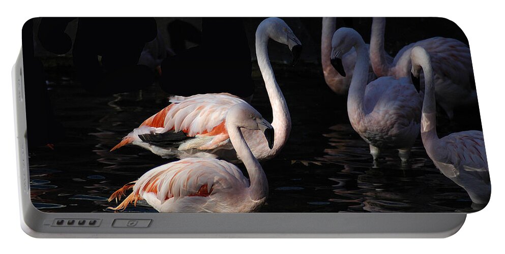 Flamingo Portable Battery Charger featuring the photograph Flamingo Study - 2 by DArcy Evans