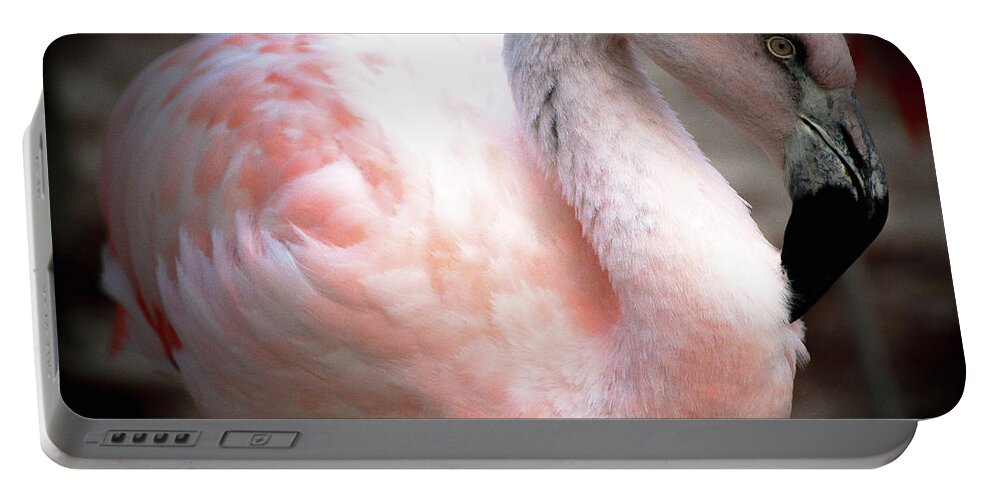Flamingo Portable Battery Charger featuring the photograph Flamingo Two Memphis Zoo by Veronica Batterson