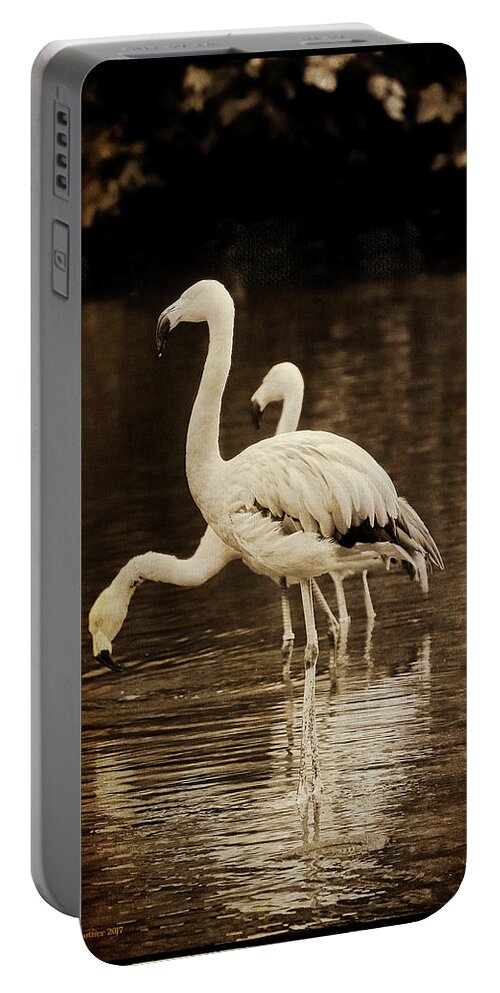 Flamingos Portable Battery Charger featuring the photograph Flamingos by Aleksander Rotner