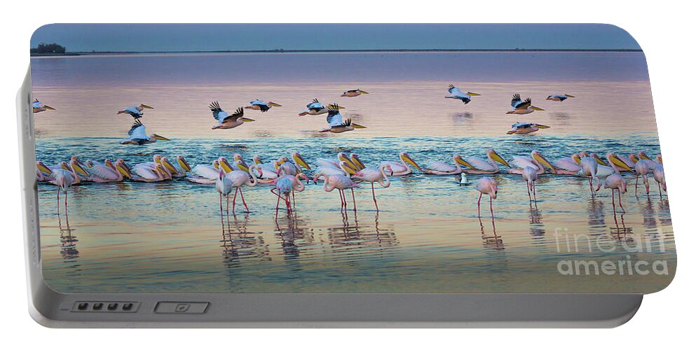 Africa Portable Battery Charger featuring the photograph Flamingos and Pelicans by Inge Johnsson