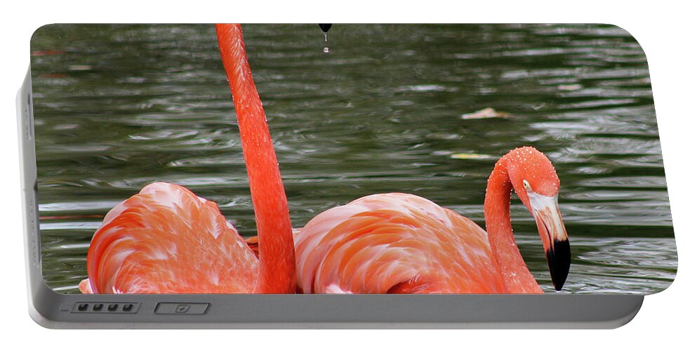 Flamingos Portable Battery Charger featuring the photograph Flamingos by Holly Ross