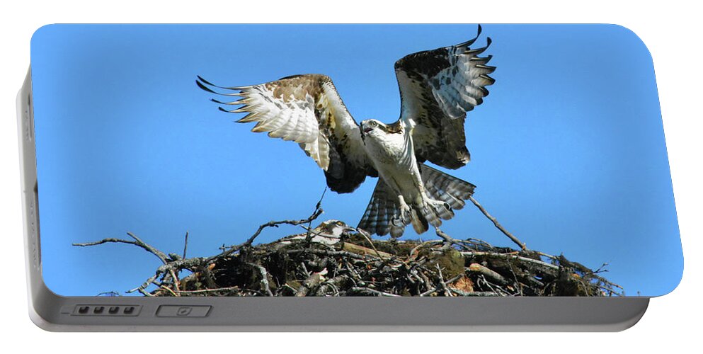 Flew Portable Battery Charger featuring the photograph Flew The Coop by Vivian Martin