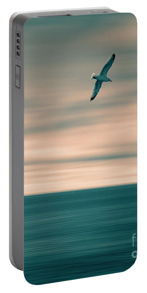 Nag005103 Portable Battery Charger featuring the photograph Flight 832 by Edmund Nagele FRPS