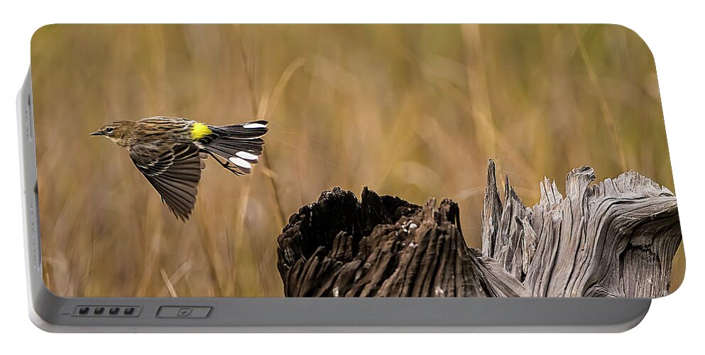Warbler Portable Battery Charger featuring the photograph Flight Of The Driftwood Butterbutt by DB Hayes