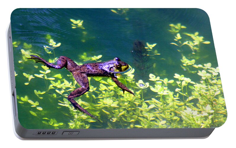 Frog Portable Battery Charger featuring the photograph Floating Frog by Nick Gustafson