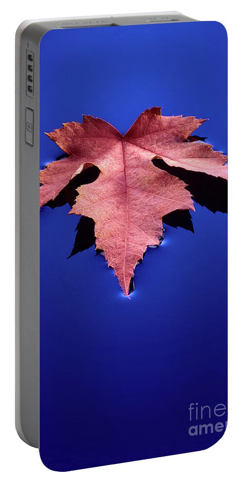 Floating Portable Battery Charger featuring the photograph Floating Leaf 2 - Maple by Dean Birinyi