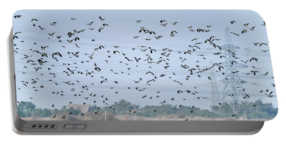 Lapwing Portable Battery Charger featuring the photograph Flock of beautiful migratory lapwing birds in clear Winter sky by Matthew Gibson