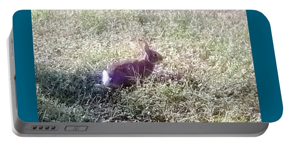Rabbit. Bunny .wildlife Sanctuary Portable Battery Charger featuring the photograph Floppy Our Local Bunny by Suzanne Berthier