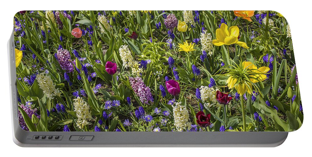 Colors Portable Battery Charger featuring the photograph Floral background in all colors by Patricia Hofmeester