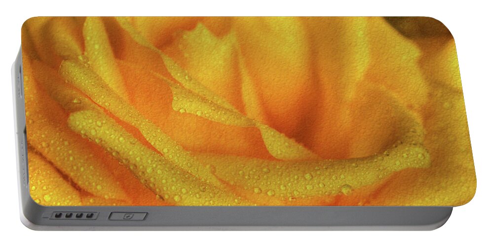 Yellow Portable Battery Charger featuring the photograph Floral Yellow Rose Blossom by Shelley Neff