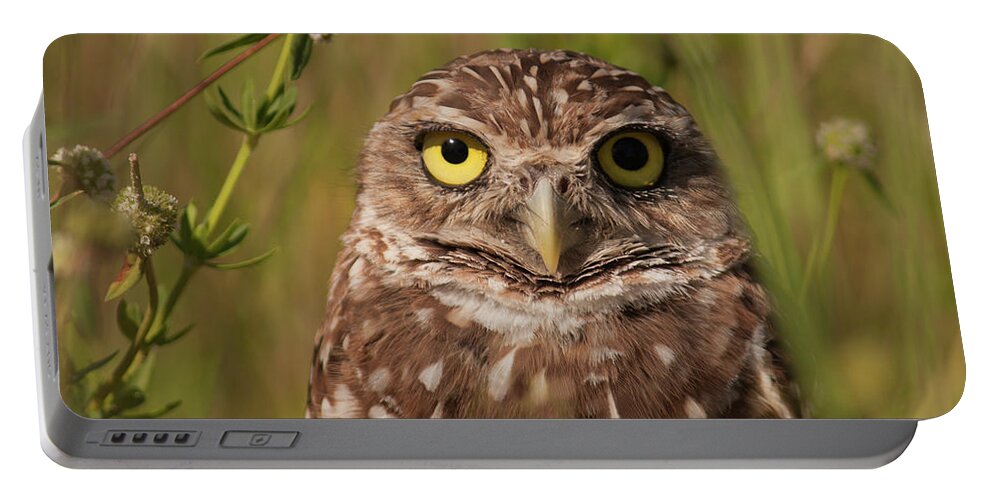 Owl Portable Battery Charger featuring the photograph Florida Burrowing Owl by Paul Rebmann