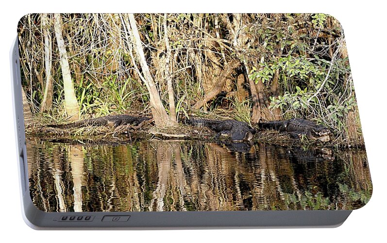 Alligators Portable Battery Charger featuring the photograph Florida Gators - Everglades Swamp by Jerry Battle