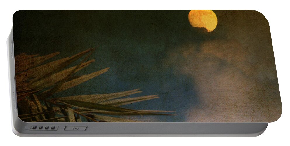 Florida Portable Battery Charger featuring the photograph Florida Moon by Susanne Van Hulst