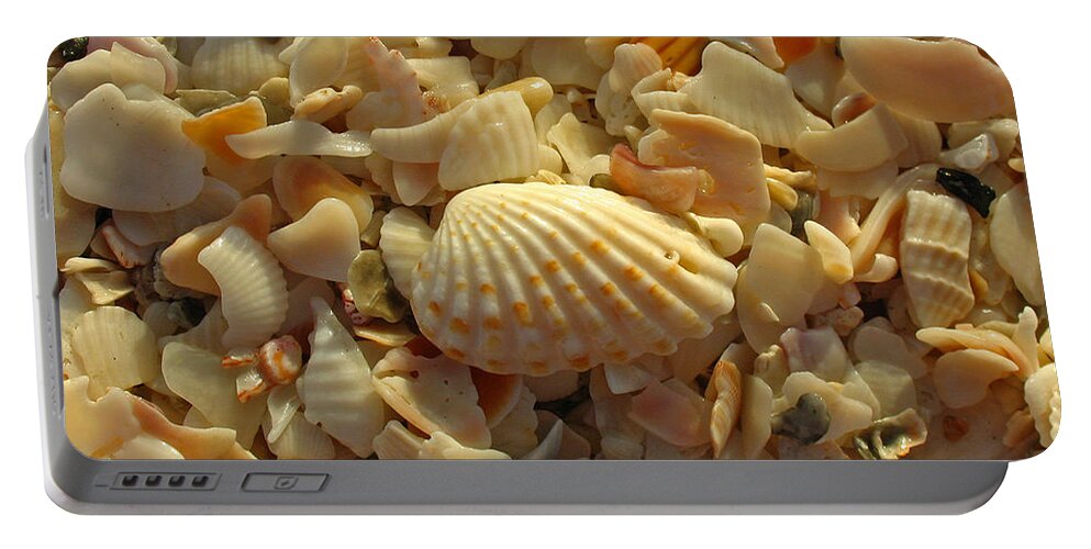 Shell Portable Battery Charger featuring the photograph Florida Sea Shells by Juergen Roth