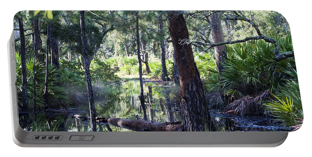 Nature Portable Battery Charger featuring the photograph Florida Swamp by Kenneth Albin