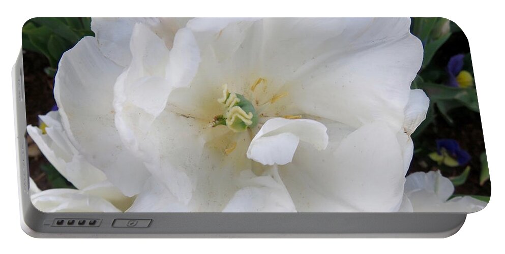 Flowers Portable Battery Charger featuring the photograph Flourishing Flowers by Beth Myer Photography