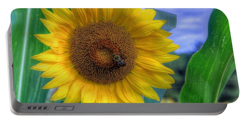 #sunflower Portable Battery Charger featuring the photograph Flower # 37 by Albert Fadel