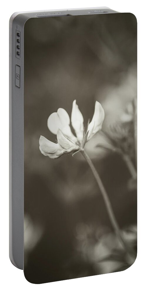 Nature Portable Battery Charger featuring the photograph Flower 3 by Mati Krimerman