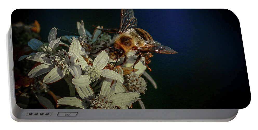 Flower Portable Battery Charger featuring the photograph Flower and Bee by Tom Claud