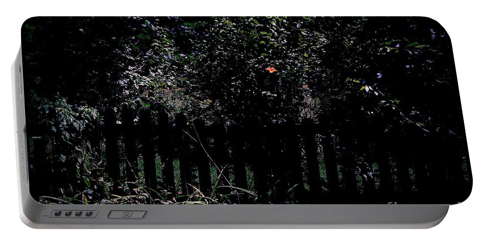 Single Flower And Fence Portable Battery Charger featuring the photograph Flower and Fence by Frank J Casella