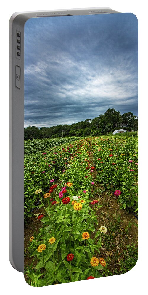Bloom Portable Battery Charger featuring the photograph Flower Field at North Sea Farms by Robert Seifert