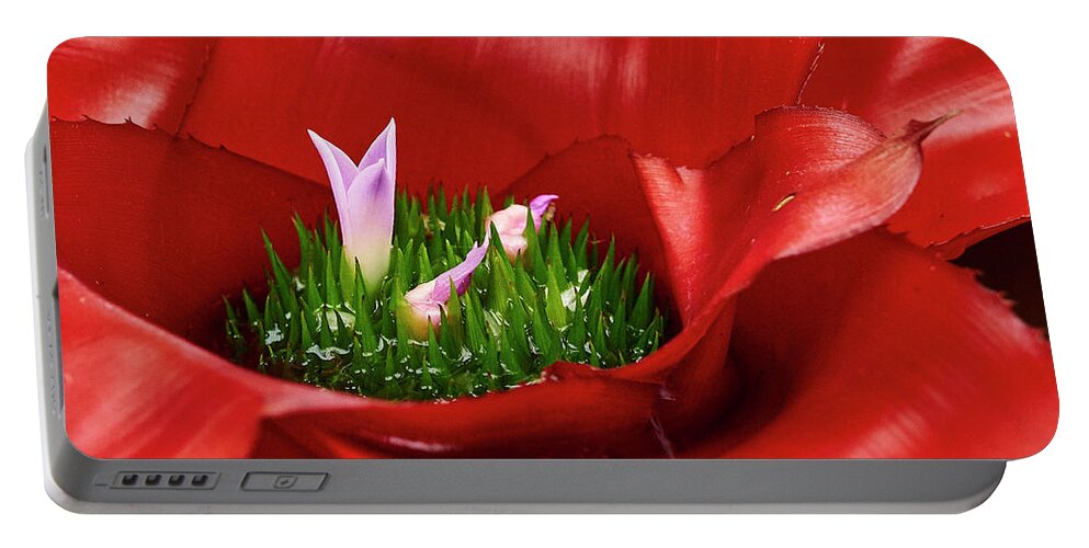 Flower Portable Battery Charger featuring the photograph Flower in Flower by Steve Ondrus