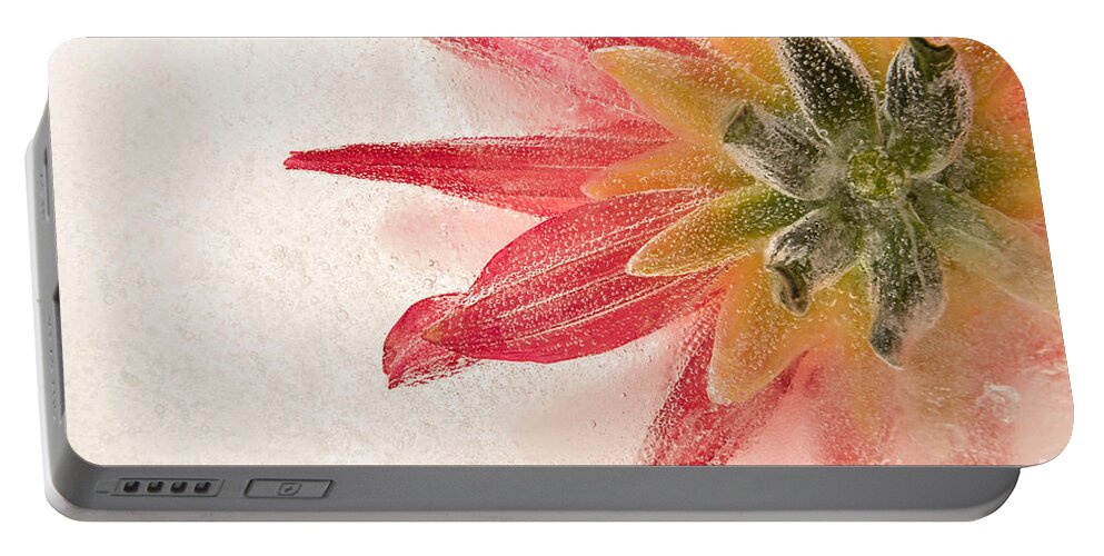Flower In Ice Portable Battery Charger featuring the photograph Flower in Ice by Ann Garrett