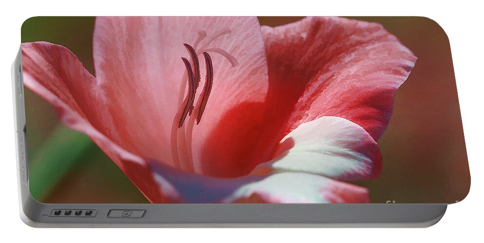Flower Portable Battery Charger featuring the photograph Flower In Pink Pastel by Deborah Benoit