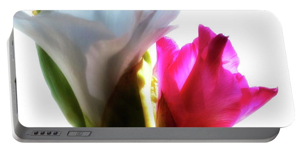 Flower Portable Battery Charger featuring the photograph Flower Power 7 by Joseph Hedaya