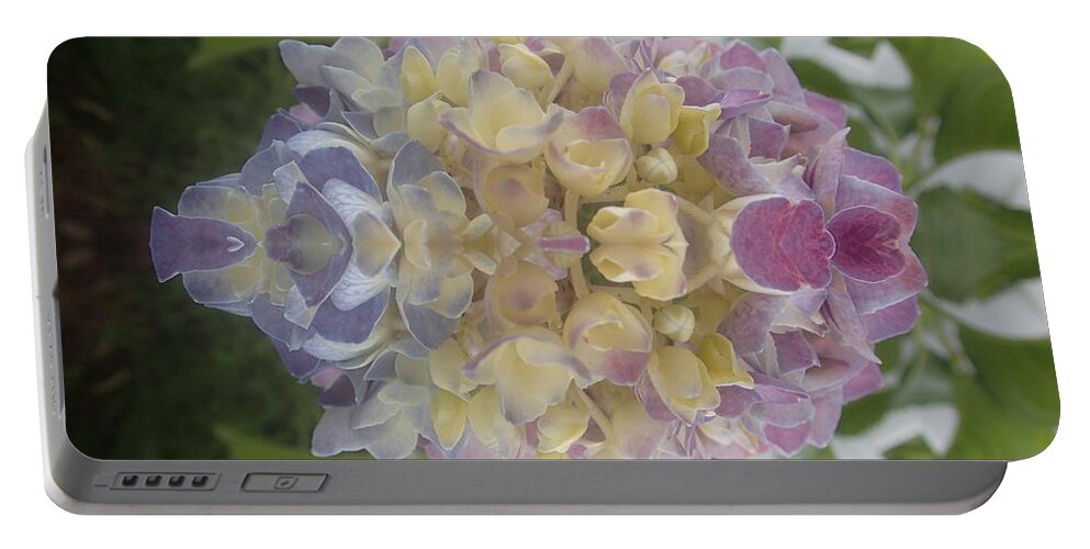 Flowers Portable Battery Charger featuring the photograph Flower Power by Christina Verdgeline