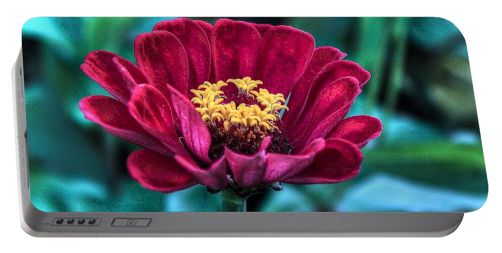Flower Portable Battery Charger featuring the photograph Flower34 by Albert Fadel