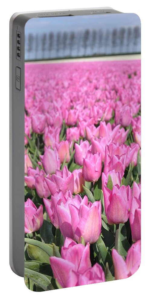 Flowerfields Portable Battery Charger featuring the photograph Flowerfield with pink tulips by Eduard Meinema