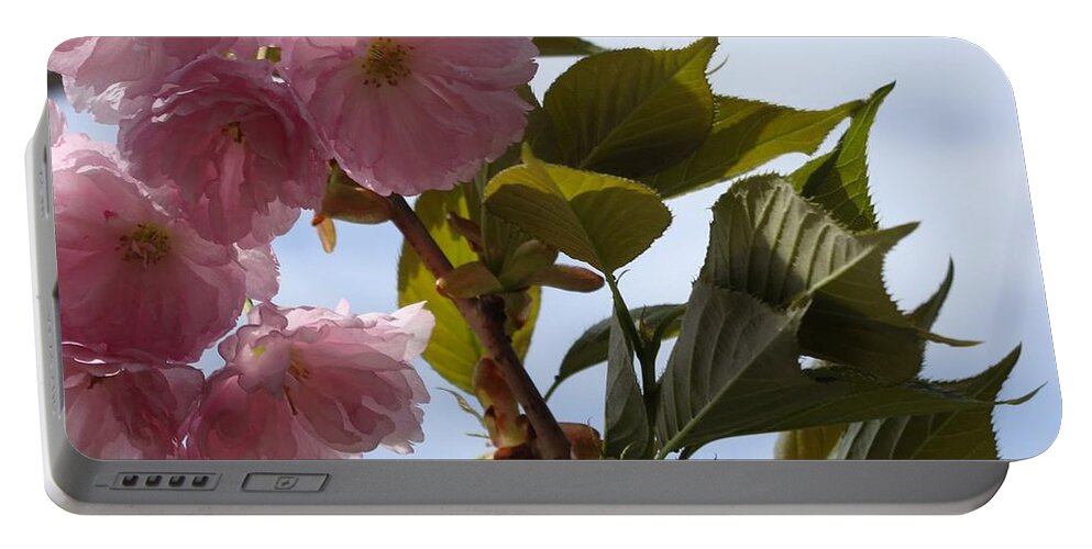 Flowering Cherry Portable Battery Charger featuring the photograph Flowering Cherry by Anthony Seeker