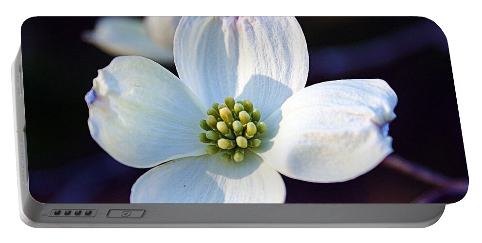 Dogwood Portable Battery Charger featuring the photograph Flowering Dogwood by Cricket Hackmann