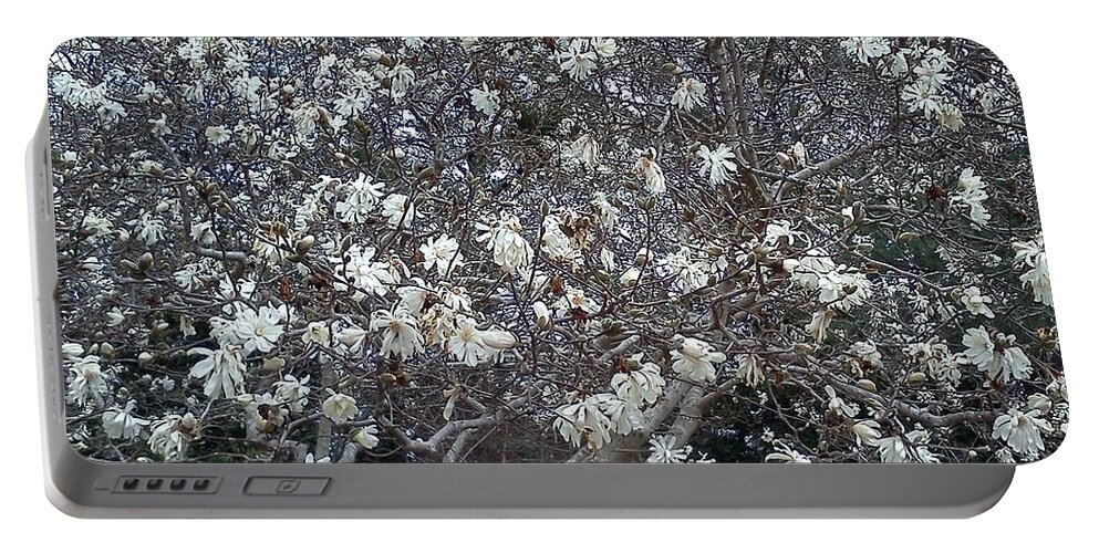 Floral Portable Battery Charger featuring the photograph Flowering Tree by Pamela Henry